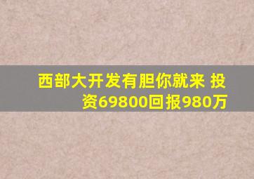 西部大开发有胆你就来 投资69800回报980万